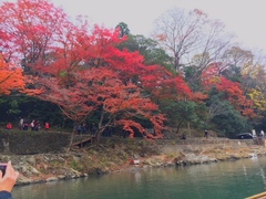 京都　嵐山！
