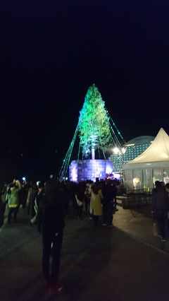 神戸ルミナリエ2017&世界一のクリスマスツリー